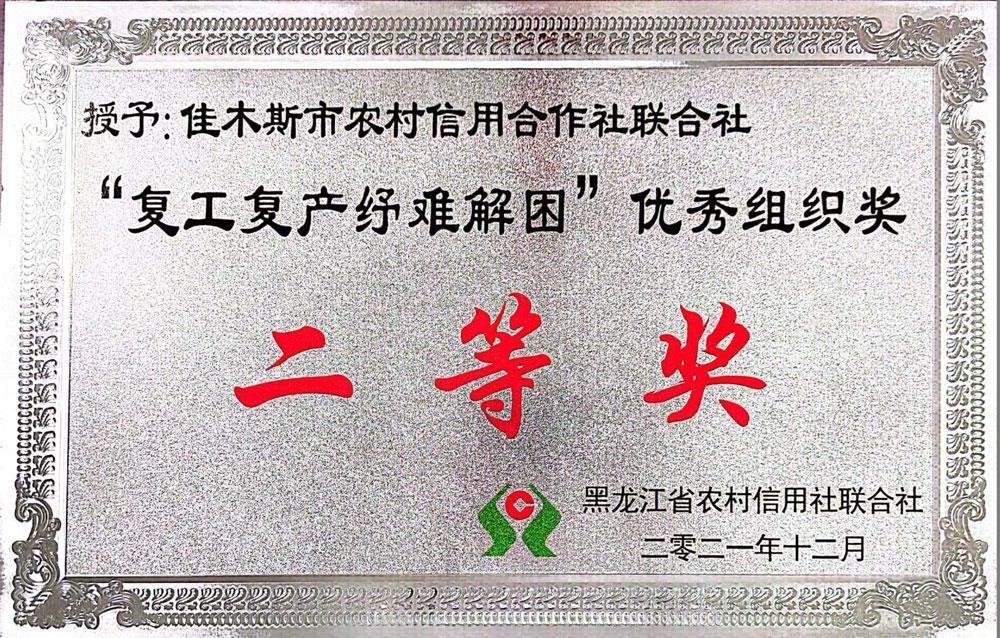 “复工复产”优秀组织奖二等奖