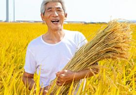 农业生产托管服务组织贷款