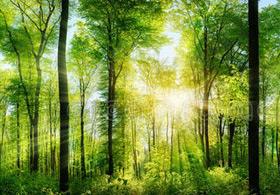 新型农业经营主体贷款业务